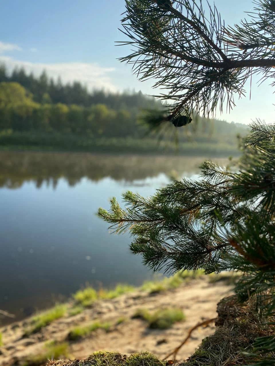 Тишина у воды